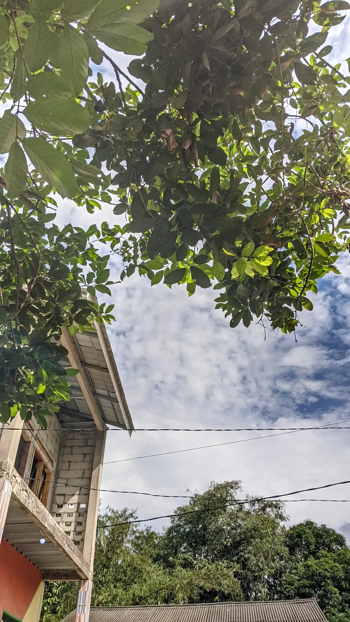 menyukai langit,maka harus siap dengan segala cuacanya. #xyzbcafypシ #lewatberanda #aesthetic #samsunghalaxy #pagiharistoryaesthetic #lmc #gcam #android #fypdong 