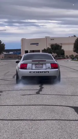 Sound UP! 🔊 #cobraowners #terminatorcobra #fypage 