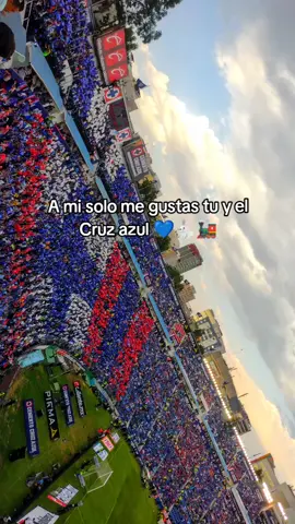 A mí solo me gustas tu y el cruz azul 💙🐇🚂 #andarconmigo #sevienela10ma #cruzazul #fyp #tik_tok #viraltiktok #viral #dimesituquieresandarconmigo #andarconmigojulietavenegas #lamaquinaceleste #finalistas #estamosenlafinal 