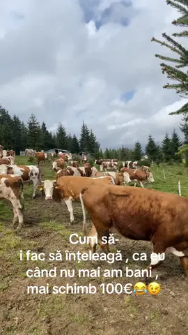 #@Bogdan Trifa @Alin Vlad @Florin Sorin @Cosmin Mihai Trif #goviral #zootehnie #fy #🤍 