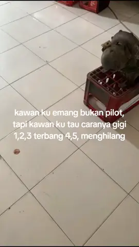 tragedi semalam🗿 #rxking  #rxking135cc #rxkingstylepakguru #rxkingclub #rxkingnusantara #rxkingindonesia #fyppppppppppppppppppppppp 