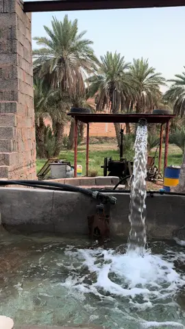 #اكسبلور #مزرعة #صوت_طرب #اجواء_خيالية 