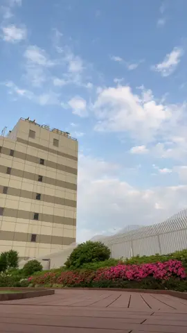 この音源以外の流行ってるのってある？？@ヤマト 