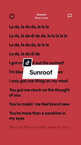 Sunroof 🎶 - Nicky Youre #HoneyLyricss #fullsong #spotify #fypシ 