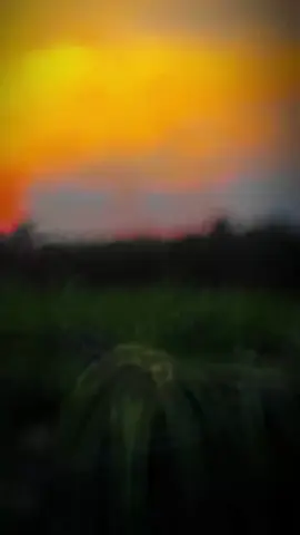 để em đưa anh đi #tiktokxuhuong 