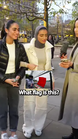 What flag is this?🤔 #aurumacademy #kartinglife #rec #recommendations #carlife #f1 #karting #cars #formula1 #whatflagisthis #slovensko #slovakia #bratislava_slovakia🇸🇰 #fypシ゚viral #fyp 