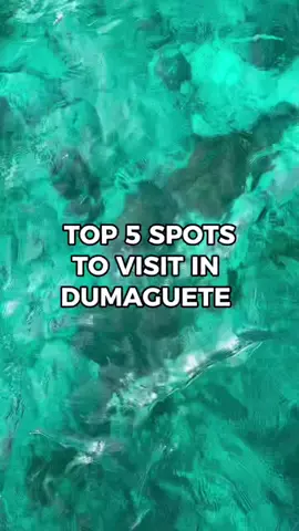 TOP 5 SPOTS TO VISIT IN DUMAGUETE! #travel #vacation #travelph #tourism #tourist #local #adventure #beach #ocean #dolphin #snorkeling #turtle #seaturtle #sandbar #dumaguete #dumaguetecity #negrosorientalphilippines #bisaya #visayas #waterfalls #philippines #piliinmorinangpilipinas 