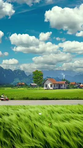 There is a small shop beside the clouds, it feels like a fairy tale in summer...