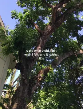 from tadhana to unti-unti real quick #fyp#nature#viral 