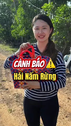 CẢNH BÁO HÁI NẤM RỪNG ‼️⚠️⚠️#nhuduongvlog95 #LearnOnTikTok #Nhuduongreview #NamTram #Canhbao 
