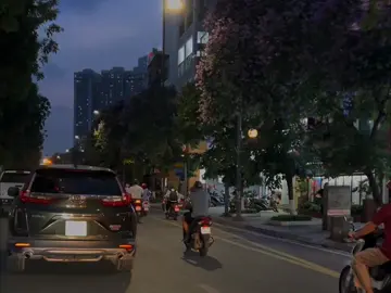 nói đi là đi vậy sao ?