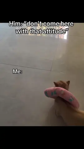 No❤️ #fyp #foryou #catmeme #Relationship #relationshipmemes #couple #cattok #couples #ilovemybf 