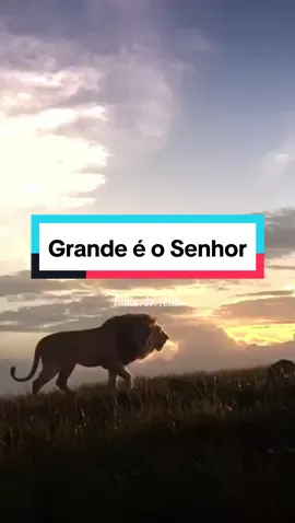 Grande é o Senhor #musicagospel #louvor #grandeeosenhor #cristaosnotiktok #hino #deus 