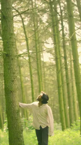 🍃🤍