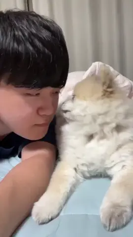 Gumayusi live 🙀🙀🙀 #gumayusi #leeminhyung #t1 