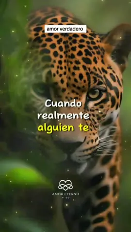amor verdadero 😍 #CapCut #enamorados #amorproprio #frasesdeamor #cosasdeparejas #parati #foryou #cosasdeparejas 