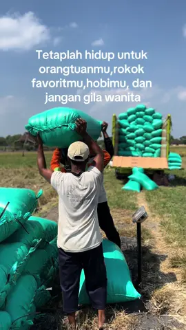 😇#gabahbalap🌾 #berasbalap #lewatberanda #storytime #truck #fyp 