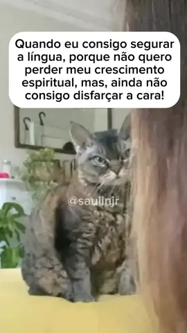 #evoluçãoespiritual #deus_no_controle #memes #viralvideo #engraçado #sorrisos #humortiktok #humorcristao #cara #raiva #espiritualidad 