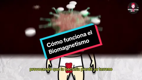 Cómo funciona el Biomagnetismo. #AprendeEnTikTok #comofunciona #biomagnetismo #terapiaholistica #mejoratusalud #medicinanatural 