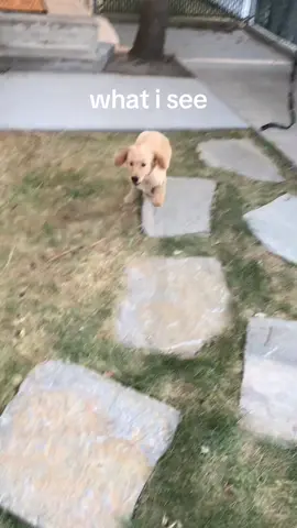 She’ll always just be little Nals to me 💛🫶