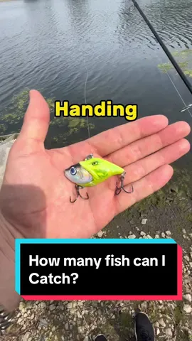 How many Fish can I Catch On The Handing M1 lipless crankbait?  #fishing #fishingtiktoks #bassfishing #fishingfun #handingfishing 