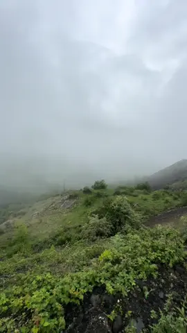 Allah wehidlerimize rehmet elesin🤲 Susa daglari