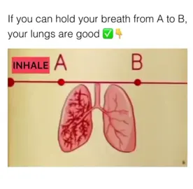 Can you do it? #lungs #holdyourbreath #challenges_tiktok 