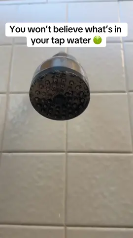My skin and hair always look awful after i shower in tap water. After using this shower filter for a year i no longer get itchy skin or break outs from my tap water. My hair isnt frizzy and i dont get dandruff any more. Thank you @Organic-Jaguar for an amazing product. #foryoupage #tiktokshop 