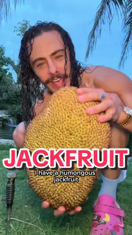 #Jackfruit For Thought! #FruitForThought #Fruit 