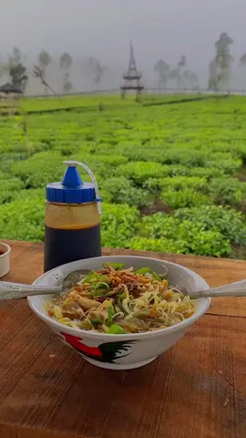 Utamakan sarapaan bukan harapan #fyp #fypシ゚viral #foryou #foryoupage #wonderfulplaces #wonderful #wonderfulindonesia #wonderland #xybca #wonosobo #wonosobohitz #wonnosobo24jam #tambipatean #kebuntehtambi #jateng #dieng #sindoro #jalanjalan #hiling #hilingkitahiling #tren #sarapan #sarapanpagi 