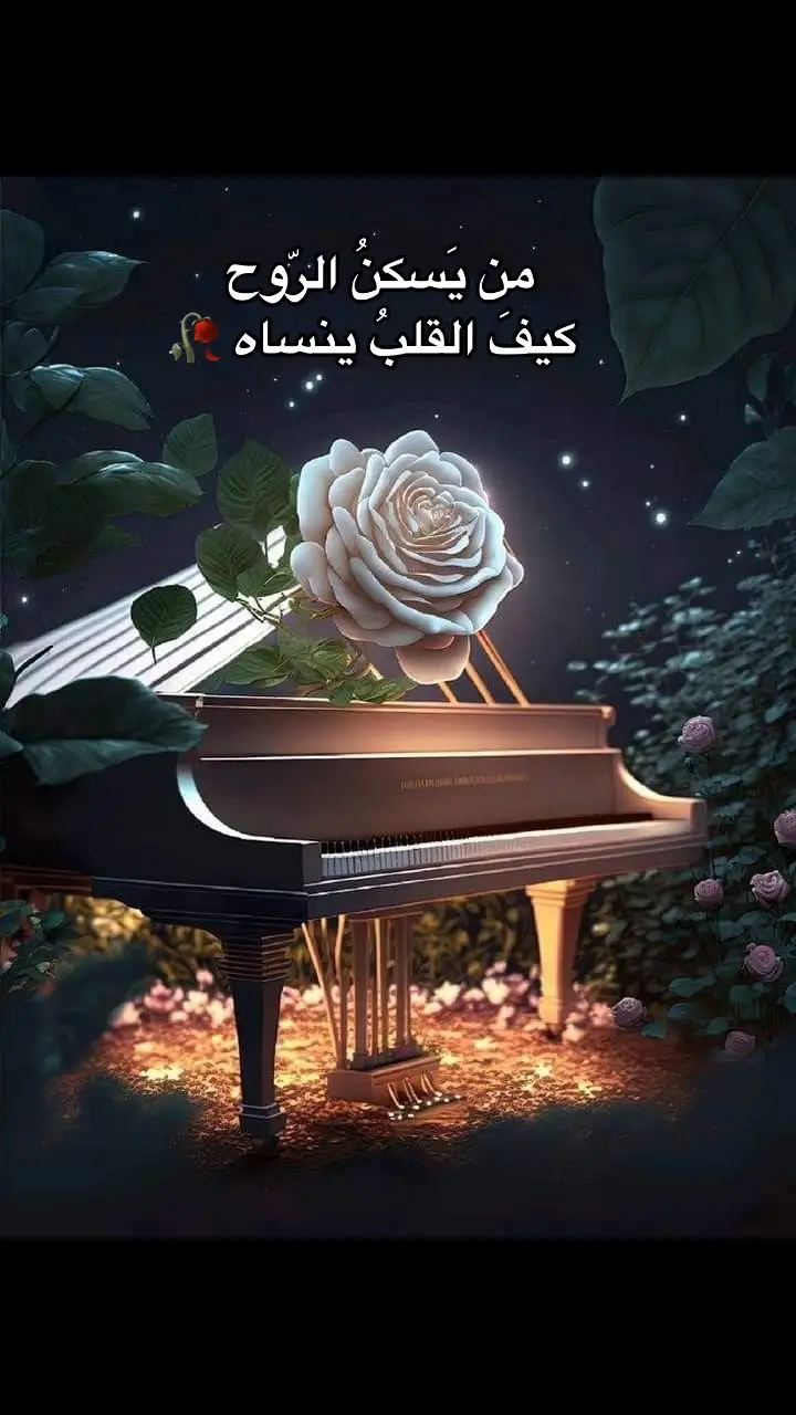 من يسكنُ الروح .. كيف القلب ينساه 🥀💖 موسيقى الحبّ كلّه 🥀 #الحب_كله #الحب_كله_حبيته_فيك #قصةعشق🥀 #موسيقى #موسيقى_هادئه #صباح_الخير #يسعدلي__اوقاتڪۘم #مقدمة_موسيقية #مقطوعه_موسيقيه #بليغ_حمدي #بليغيات_بيتهوفن_الشرق_العبقري_بليغ #عزف #عزف_عود #عزف_كمان #عزف_بيانو #اوكورديون #instrumental #goodmorning #ام_كلثوم #كوكب_الشرق_ام_كلثوم #كلثوميات #كلثوميات_الليل_☕🎼 #كلثوميات_جمال_ذؤق #أم_كلثوم_رواق_طرب🎼 #ياسلام #زمن_الفن_الجميل #طربيات_الزمن_الجميل #الزمن_الجميل #الزمن_القديم_الزمن_الجميل #الفن_الجميل #طرب #قديم #music #classic #oldsong #sing_oldis #زمان_يافن #متابعه #متابعه_ولايك_واكسبلور_احبكم #explore #foryoupage #foryou #fyp #fypツ #viral #viralvideo #tiktok #tiktoklongs #tiktoklover #trend #fayrouz #حالات_واتس #ستوريات #تصميمي #نوستالجيا #نوستالجيا_الزمن_الجميل #حب #عشق #الحب #كله #ترند #رومانسي #كلاسيك #romance #هدوء_الليل #اغاني #روعة_الغناء_في_زمن_العمالقة #الفن_العربي_الأصيل #omkulthoum #umkulthum #egypt #cairo #اكسبلورexplore 