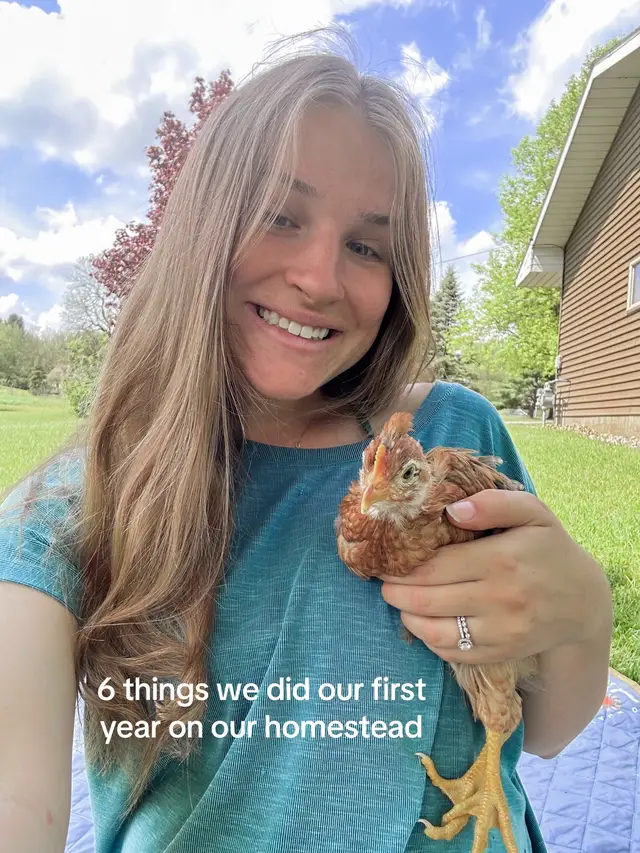 cant wait to see what the homestead will look like in another year! #homestead #bigkranch #farm #michigan #chicks #garden #transformation 