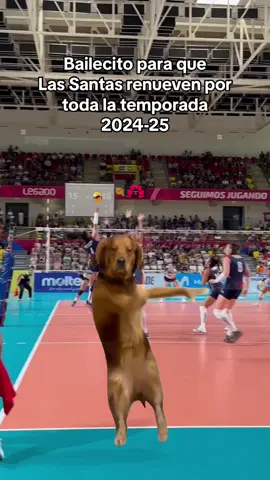 La fe 🙏🏐 #voley #voleibol #voleyperuano #ligaperuana #perú🇵🇪 #USMP #mercadodepases #fichaje #volleyballworld  #volkswagen #volleyballgirls #volleyballgame #Meme #ritual #trend #parati 