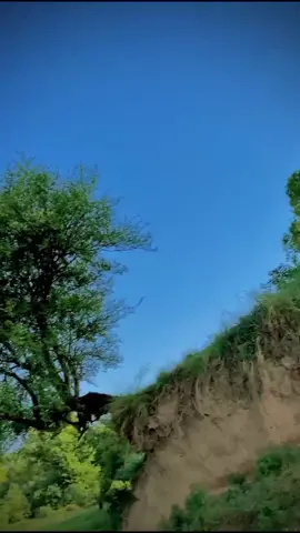 #Malik Shaban💙💙#foryoupage #volleyball #viral #support_me #unfrezzmyaccount @SHANI GUJJAR 🇪🇸 @VolleyBall Ki Dunya 🏐 @Naveed warich🏐🏐✌️✌️ @Ch zahid mazar karnana 💫🤍🖤? @malik_shaban_fakhre_sai1 @malik_shaban_fakhre_sai1 