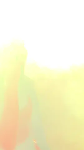 #gacorrr🔥 #alor #fypシ゚viral #party 