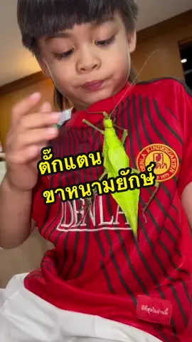 ตั๊กแตนขาหนามยักษ์ ตีปากไปหนึ่งที #marvelเจ้าสมุทร