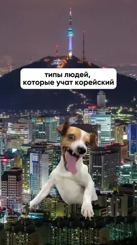 Тренировались в общении с носителями языка?😄 Присоединяйтесь к нам: ТГ 👉🏻 ksdemo Youtube 👉🏻 Korean Simple #жизньвкорее #южнаякорея #корея #korea #southkorea #кореятикток #koreansimple #кореянки #кореятикток