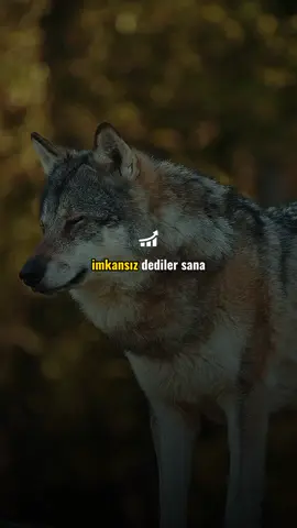 Tek başımıza bir şeyi başarmanın zorluğu, kendimizi sınırlarımızı zorlamaya ve yeteneklerimizi en üst düzeye çıkarmaya iter. Bu süreçte karşılaştığımız engeller ve zorluklar, hem mental hem de fiziksel dayanıklılığımızı artırır. Kendi başımıza elde ettiğimiz başarılar, yalnızca yeteneklerimizin bir kanıtı olmakla kalmaz, aynı zamanda özgüvenimizi de güçlendirir. Bu başarıların verdiği haz, başkalarının yardımı olmadan kendi çabalarımızla bir hedefe ulaşmanın verdiği tatmin ve gururdan kaynaklanır. Sonuç olarak, tek başına başarmak, hem kişisel gelişimimize katkı sağlar hem de elde ettiğimiz sonuçların değerini daha da artırır. #kendinigeliştir #kişiselgelişim #güzelsözler #kendineodaklan #motivasyonsözleri #özlüsözler #anlamlısözler #başarı #tekbaşına 