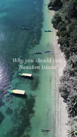 Why you should visit bunaken island!  This spectacular island in the North of Sulawesi is a hidden gem in Indonesia 🇮🇩. Known for having some of the best snorkeling and diving in the country, we could not recommend it highly enough. For more information please feel free to comment ➡️  #paradise #fypシ゚viral #fypage #foryou #foryoupage #indonesia #diving #bunaken #fyp #manado #coralreef #scubadiving #diver #sealife #seasnake #turtle 