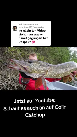 Antwort auf @omerdmz.3897 #hecht #hechtangeln #pike #pikefishing #harzfishing #angeln #angler #fishing #fishinglife #fishingtiktoks @Savage Gear Official 