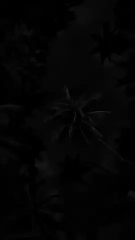 #story_94🎭 #anakku #anakkuat #buahhati #istri #semangatku 