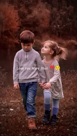 Happy Brother's Day ☺️❣️ #brothersday #brotherslove  #happybrothersday #whatsupstatus #fypシ゚viral #foryoupage❤️❤️ #newstatus 