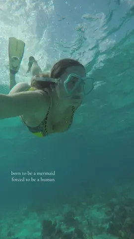i wanna play mermaids  🪸  🐠                                              #snorkeling #mermaid #underwater 