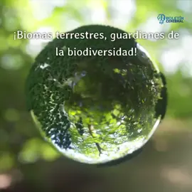Biomas terrestres, guardianes de la biodiversidad. Los biomas, también llamados paisajes bioclimáticos o áreas bióticas, son conjuntos de ecosistemas caracterizados por tener condiciones climáticas similares y una comunidad de flora y fauna específica.
