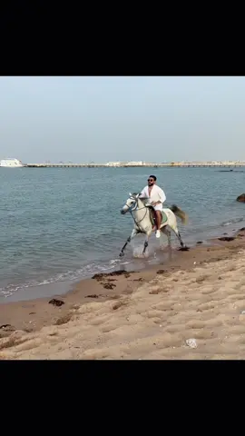 #الخيل_عشق_لاينتهي 