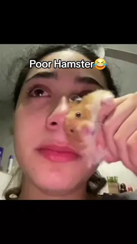 Rip Hamster😂 #tears #animal #Hamster #girl 