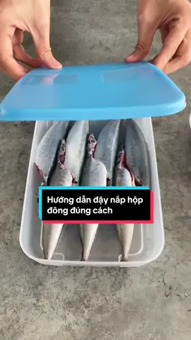 Bạn đã biết cách đậy hộp đông đúng cách chưa ? #xuhuong #trend #tupperwarephanboichau #videoviral #nauan #hoptulanh #hopdong 