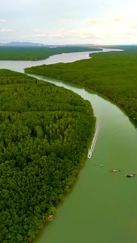Cần Giờ Biosphere Reserve (Khu dự trữ sinh quyển rừng ngập mặn Cần Giờ) is a wetland located 40 km southeast coastal area of Ho Chi Minh City.#flycamvietnam #khudutrusinhquyenthegioi #thiennhien #motvongvietnam #ilovevietnam 