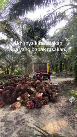 #CapCut #fypシ #fouryoupage #drivermuda #story #viral #beranda #berandatiktok #4u #katakata #storytime #xybca #sawitontiktok #sawit 