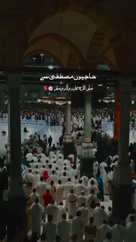 حاجیوں مصطفیٰ سے کہہ دینا 🥺🙏🏻🌸#نعت #ALLAH #Muhammad #fyp #foryou #foryoupage #fypシ゚viral #islamic_video #trending #viralvideo #hajj #haq4 #umattimuhammadsaw 